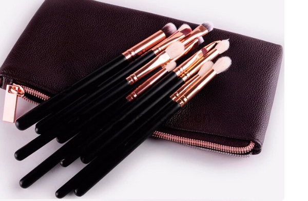 Professional 12pc eye make up brushes with case.